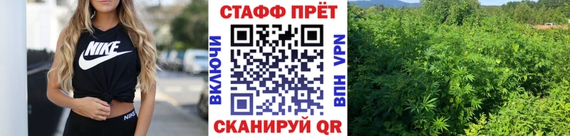 Купить наркотик аптеки Нижняя Салда ГАШИШ  Псилоцибиновые грибы  АМФЕТАМИН  Меф  Конопля 
