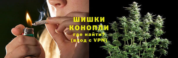 шишки Приозерск
