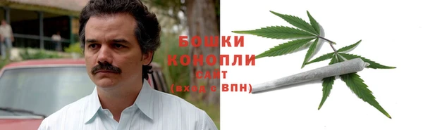 индика Нея