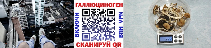 где можно купить   Нижняя Салда  Галлюциногенные грибы Cubensis 